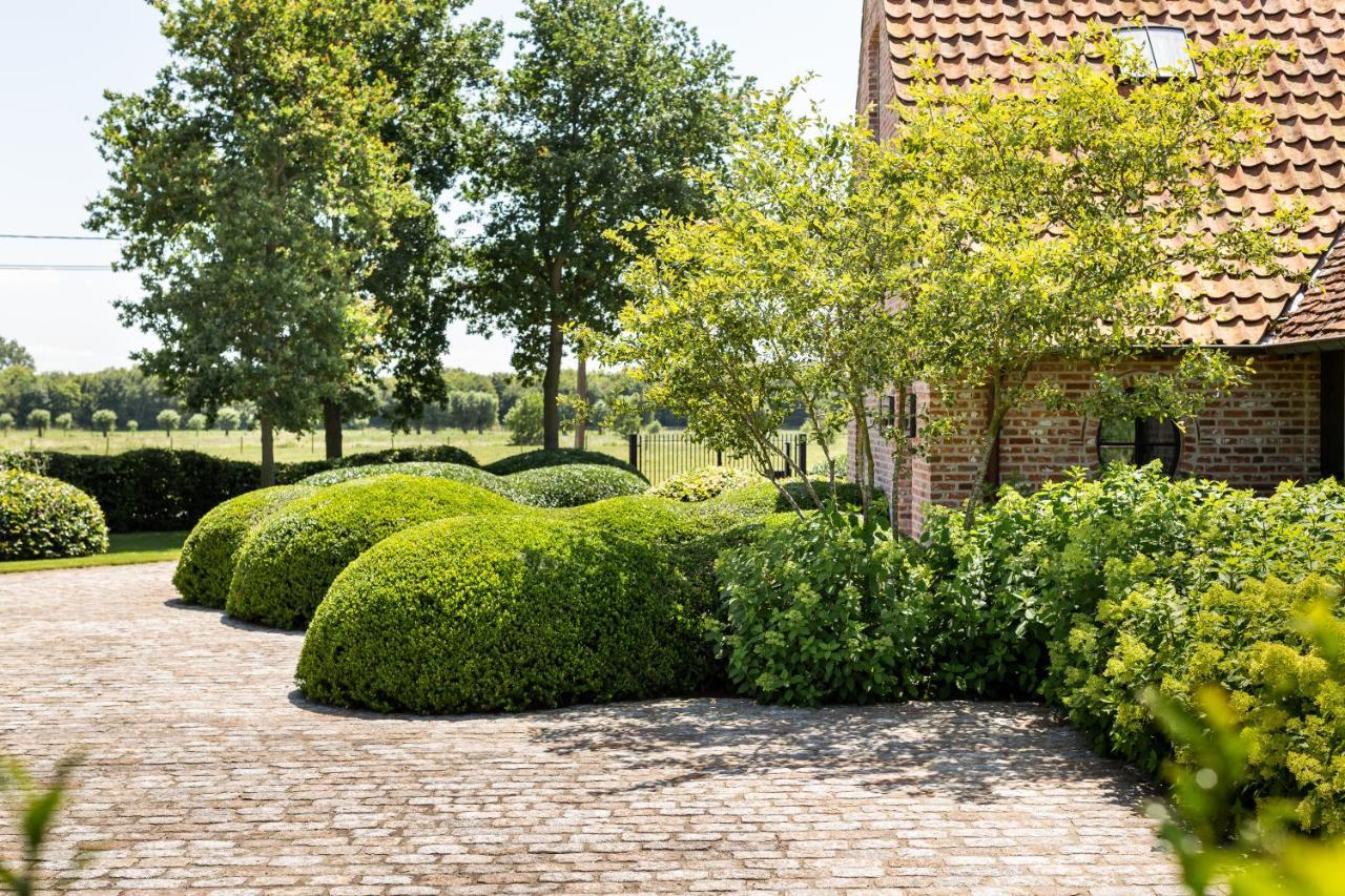 Hoeve Den Akker - Luxueuze Vakantiewoningen Met Privetuinen En Alpaca'S Nabij Brugge, Damme, Knokke, Sluis En Cadzand Eksteriør billede