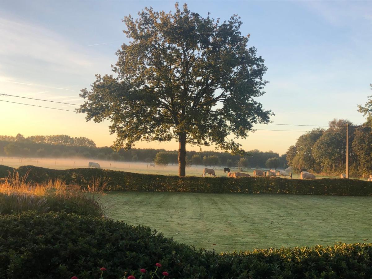 Hoeve Den Akker - Luxueuze Vakantiewoningen Met Privetuinen En Alpaca'S Nabij Brugge, Damme, Knokke, Sluis En Cadzand Eksteriør billede
