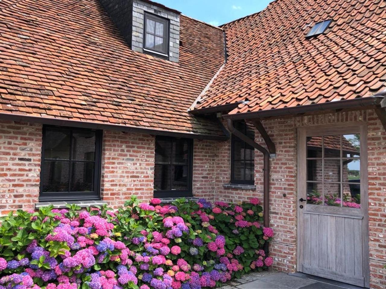 Hoeve Den Akker - Luxueuze Vakantiewoningen Met Privetuinen En Alpaca'S Nabij Brugge, Damme, Knokke, Sluis En Cadzand Eksteriør billede