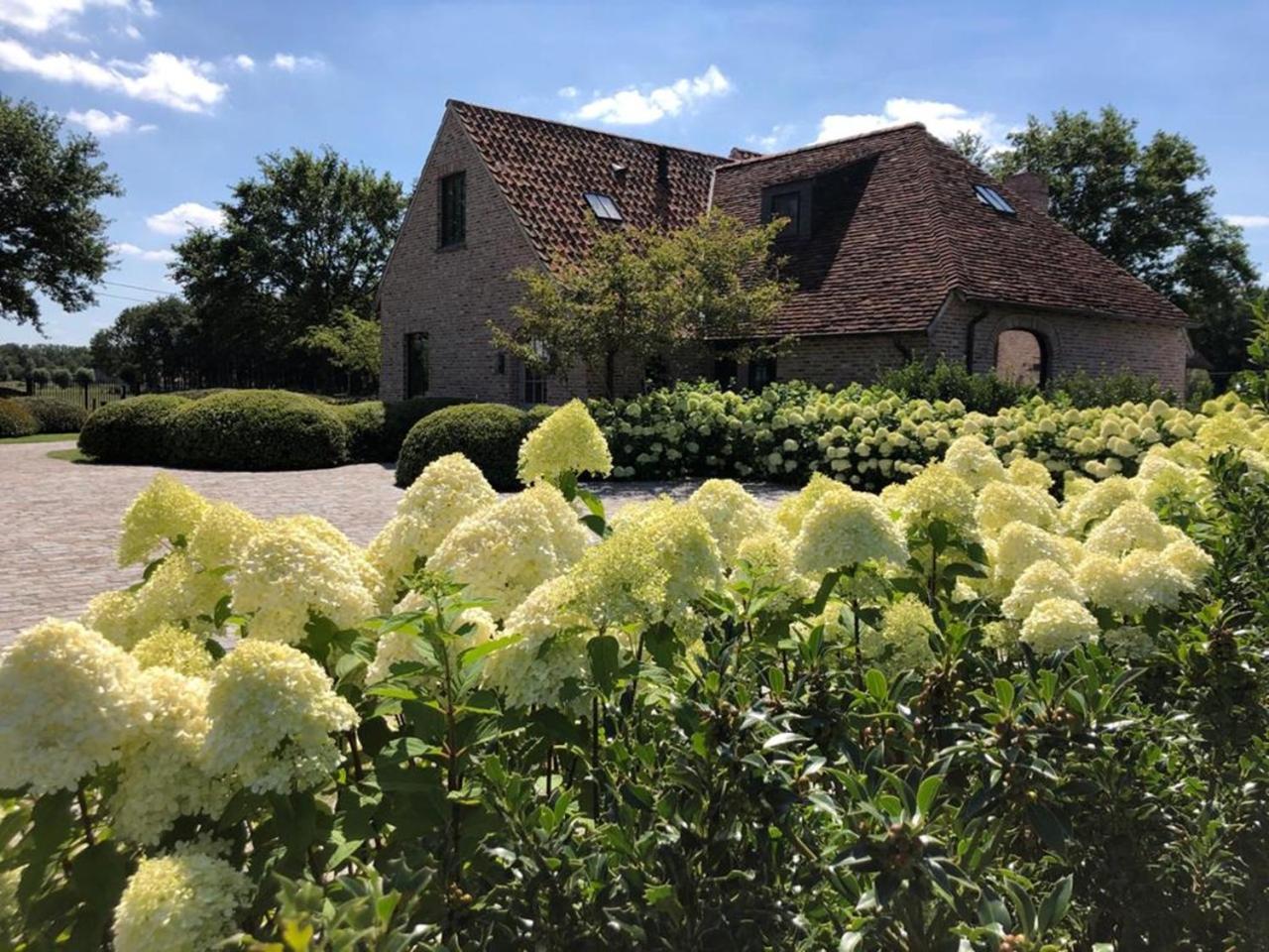Hoeve Den Akker - Luxueuze Vakantiewoningen Met Privetuinen En Alpaca'S Nabij Brugge, Damme, Knokke, Sluis En Cadzand Eksteriør billede