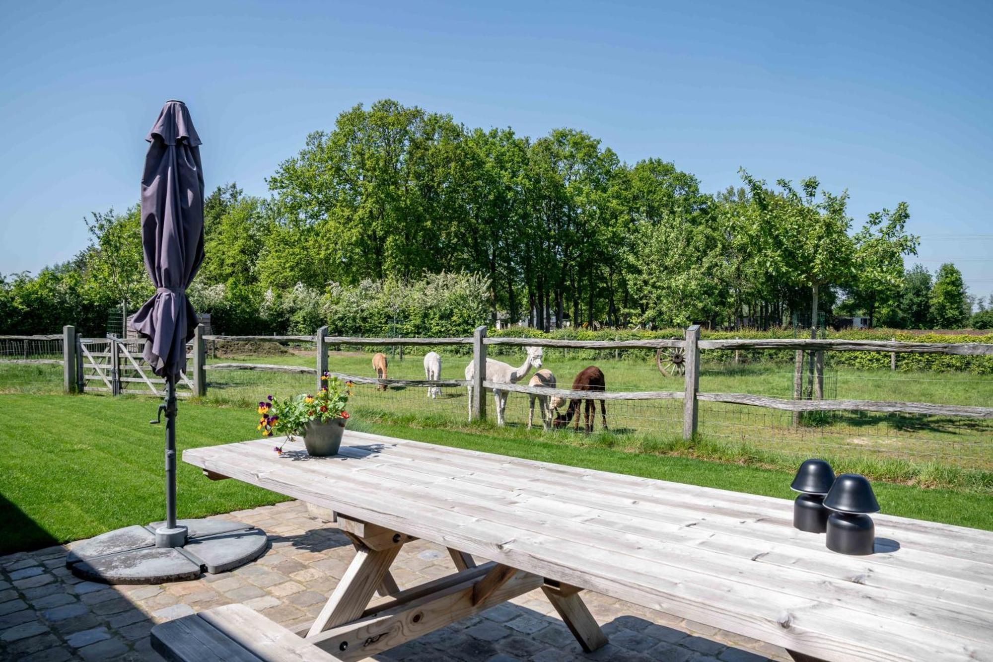 Hoeve Den Akker - Luxueuze Vakantiewoningen Met Privetuinen En Alpaca'S Nabij Brugge, Damme, Knokke, Sluis En Cadzand Eksteriør billede